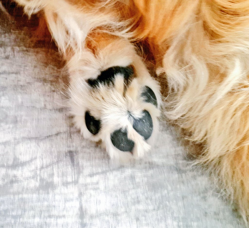 Dünyanın en güzel şeylerinden biri...