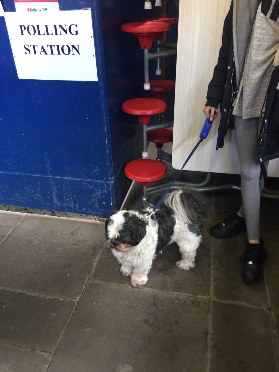 ShortCutSocial's tweet image. #dogsatpollingstations more walks, more treats and dogs on sofas. Teds manifesto