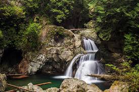 Firefighters are on scene in Lynn Canyon conducting a high angle rescue at Twin Falls. #northvan. https://t.co/zVk0oJUFRL