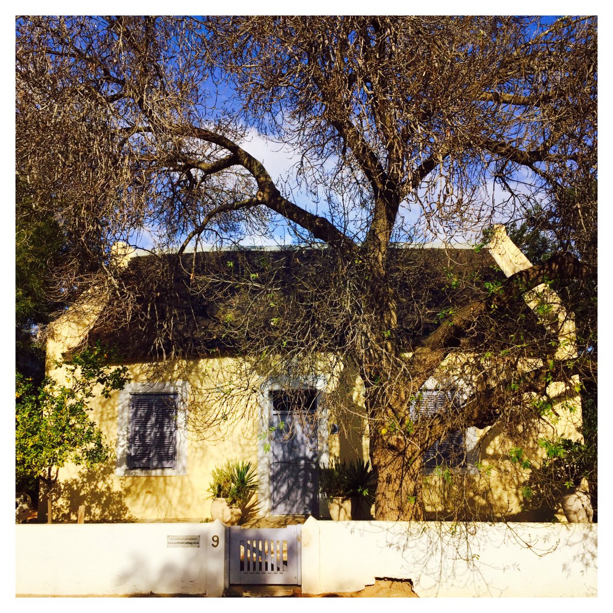 ExpressionsSA's tweet image. Good morning #McGregor I so love this little village! #visitlangeberg #countrylife #meetsouthafrica #karoolife #shotleft