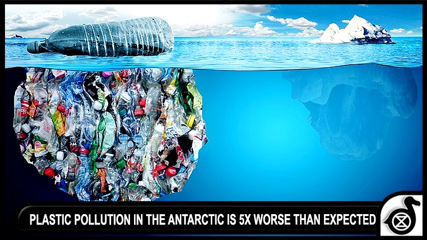 Dodo_Tribe's tweet photo. SHOCKING: New study reveals plastic pollution in the Antarctic is 5x worse than expected.We are trashing our planet

https://t.co/gHFn8oINKr https://t.co/77rjceYlU7