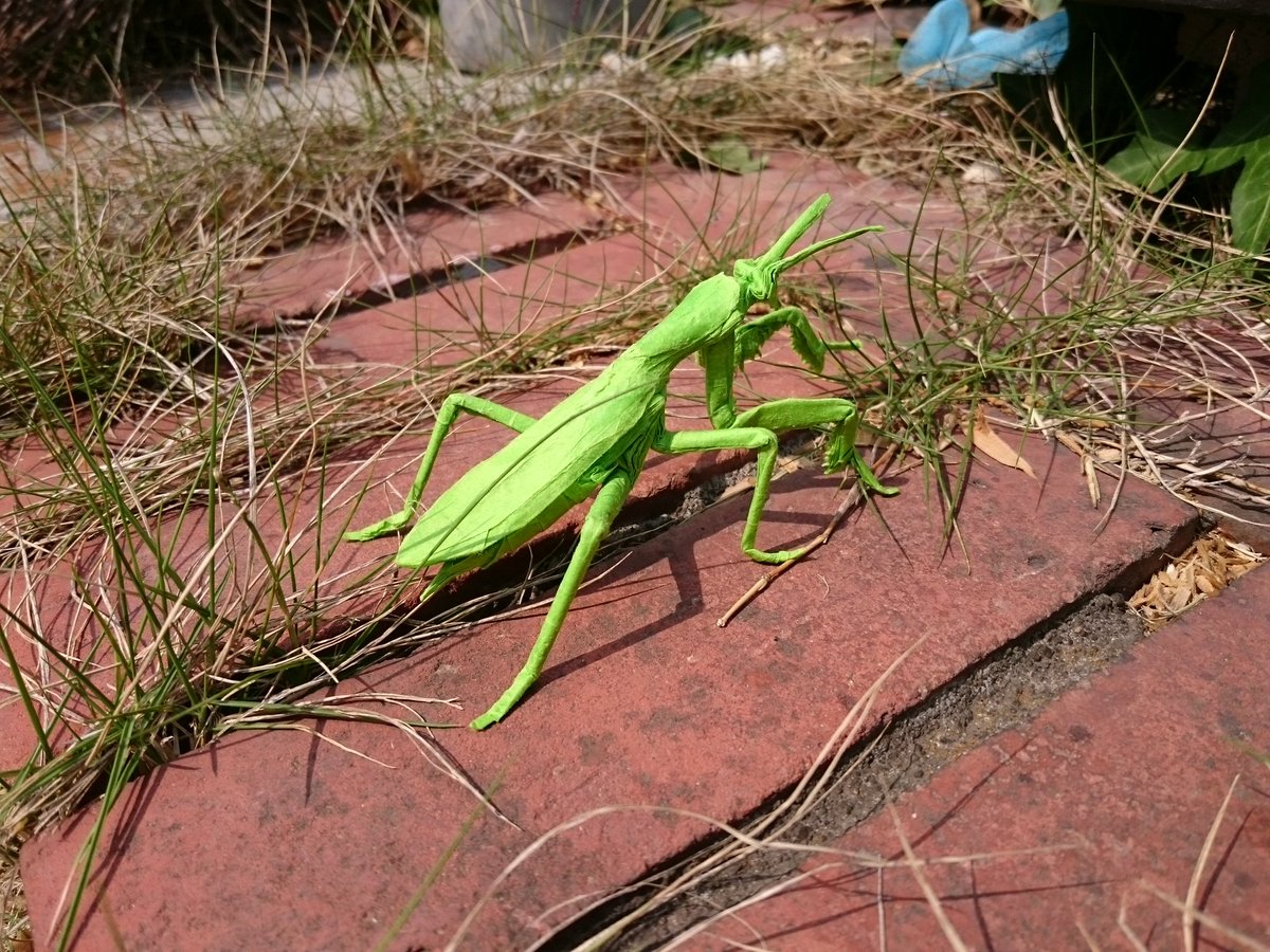 S Auf Twitter カマキリとショウリョウバッタ 折り紙作品