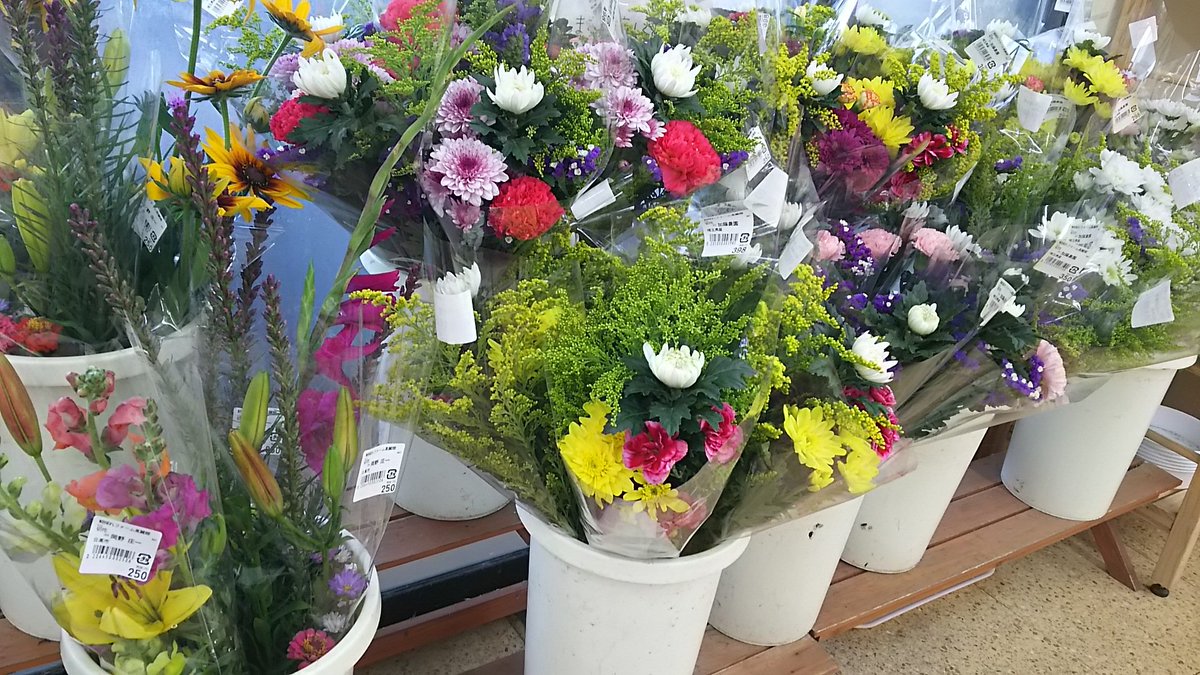 本日、切り花が入荷しました！🌸