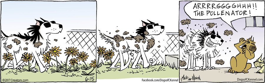 Pollin8tor's tweet photo. It takes all kinds. #PollinatorWeek https://t.co/DO4bOikbcI
