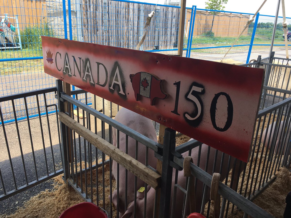 MeghanKirkpatr5's tweet photo. Celebrating Canada in the Swine Industry #proudpigproducers @VistaVillaFarms @OntPorkCongress @canada150th #canada150 #baconmakerclassic https://t.co/gyDhBgJDfX