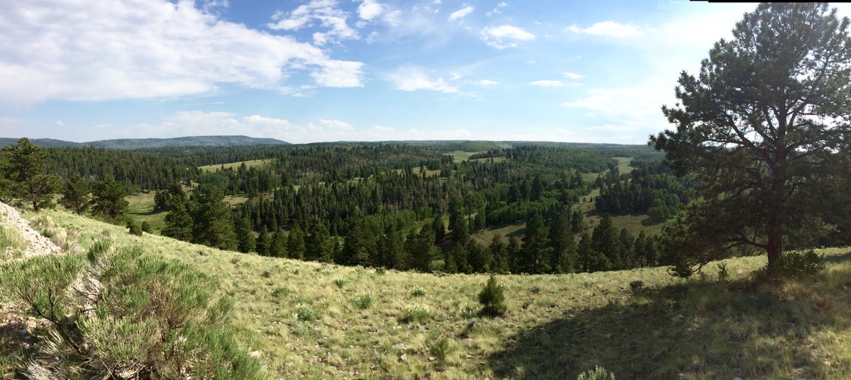 DirtyDog650's tweet photo. Major props to @USFSSouthwest. Just completed the #NMBDR. Thanks for being great stewards of OUR land! I'll be back ASAP. https://t.co/0D7YmUbYbv