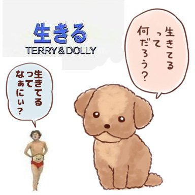 笑う犬のtwitterイラスト検索結果 古い順 笑う犬のtwitterイラスト検索結果 古い順