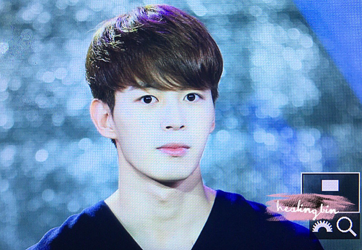 힐링빈 tweet media