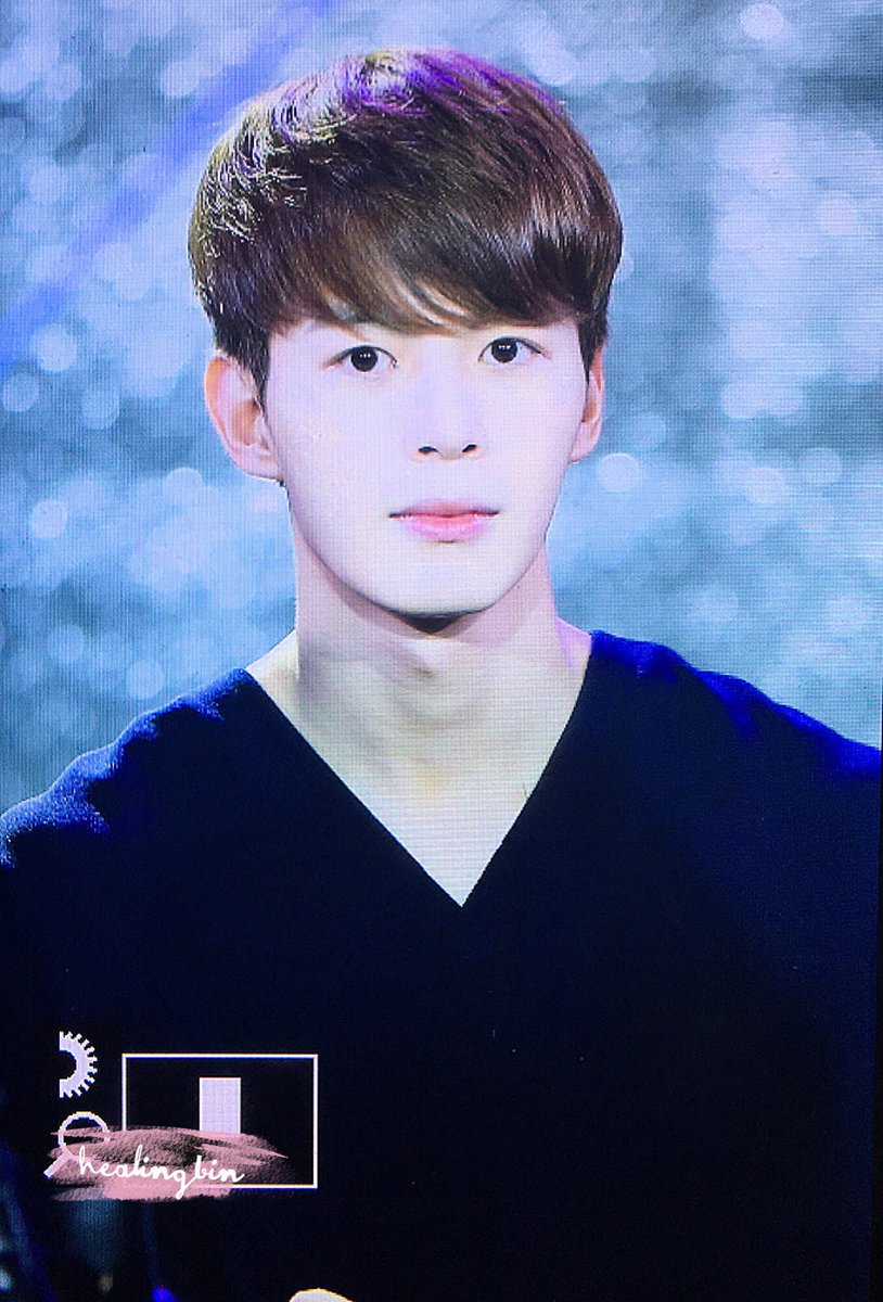 힐링빈 tweet media