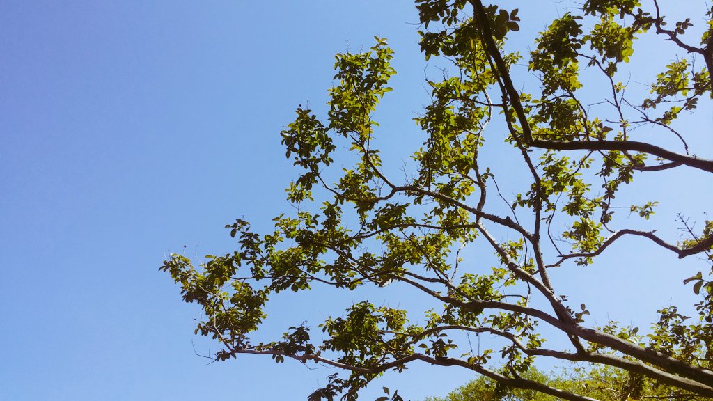 덩그러니 눈 뜨는 
아침이 아픈 날이 있다

밤새 방안 가득 
떠다니던 그리움으로
시작하는 하루가 견뎌야 할 무개로 
서글프게 다가온다.