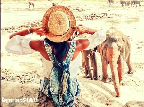 NSashimal's tweet photo. #GogreentoursSRILANKA https://t.co/cEgxf1jmkZ