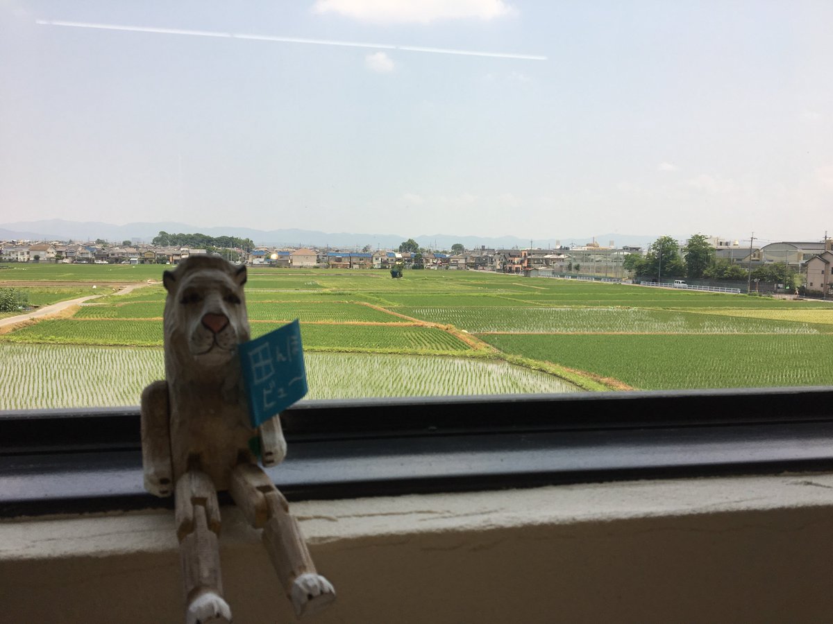ライオンホーム ライオンホーム