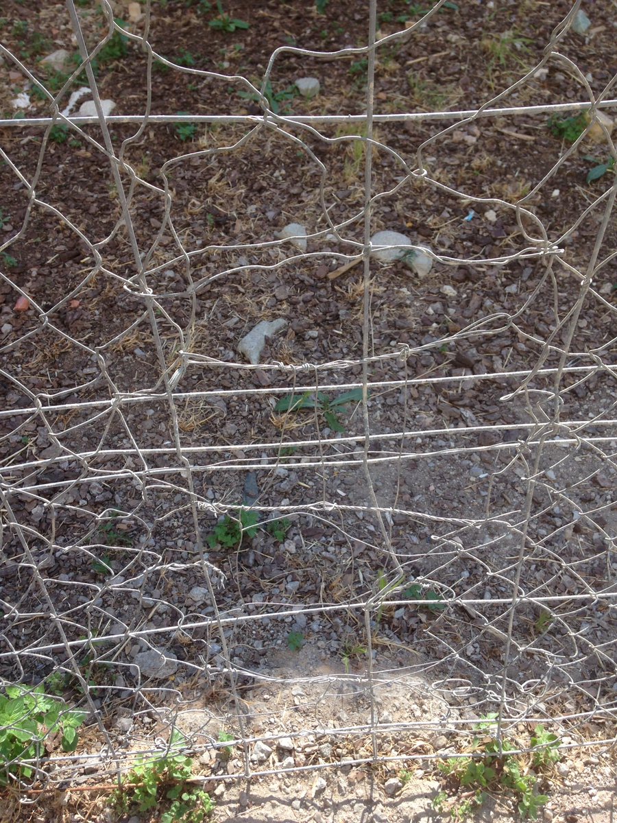 Així arreglen els voltants de #CanTrinxet a #LHospitalet parc infantil envoltat d filferro trencat. Algú es farà mal