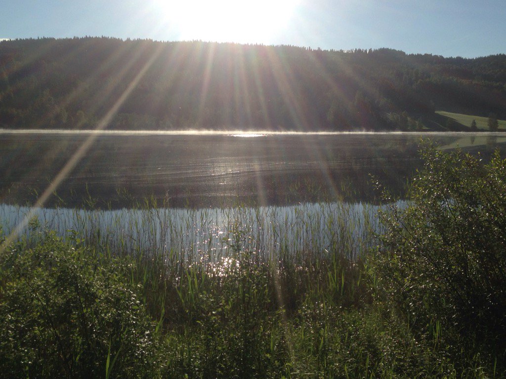 LineTHagen's tweet image. 