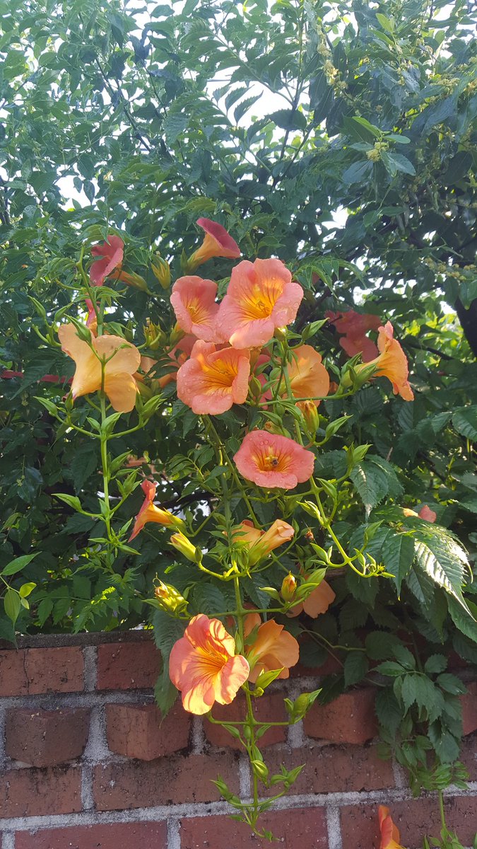 살면서
누군가에게
사랑을 받는 다는 것은
어려운 일이다

차라리
구군가를 
사랑 하는 이를
연열이 사랑 해
버리는 것이 마음 편히
살 수 있을 것이다.