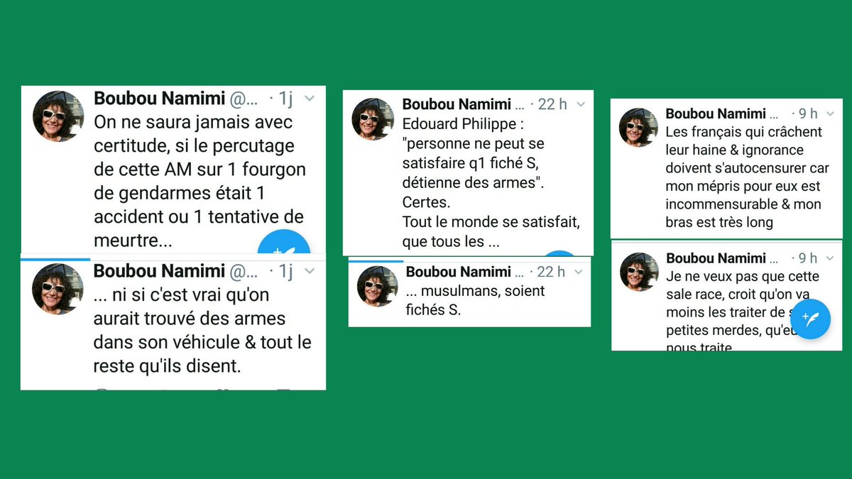 4️⃣🔴Attention signalez en masse le compte ▶️ @BNamimi pour ANTISÉMITISME HAINE-ANTI-FRANÇAIS RACISME et défendant la cause djihadiste
