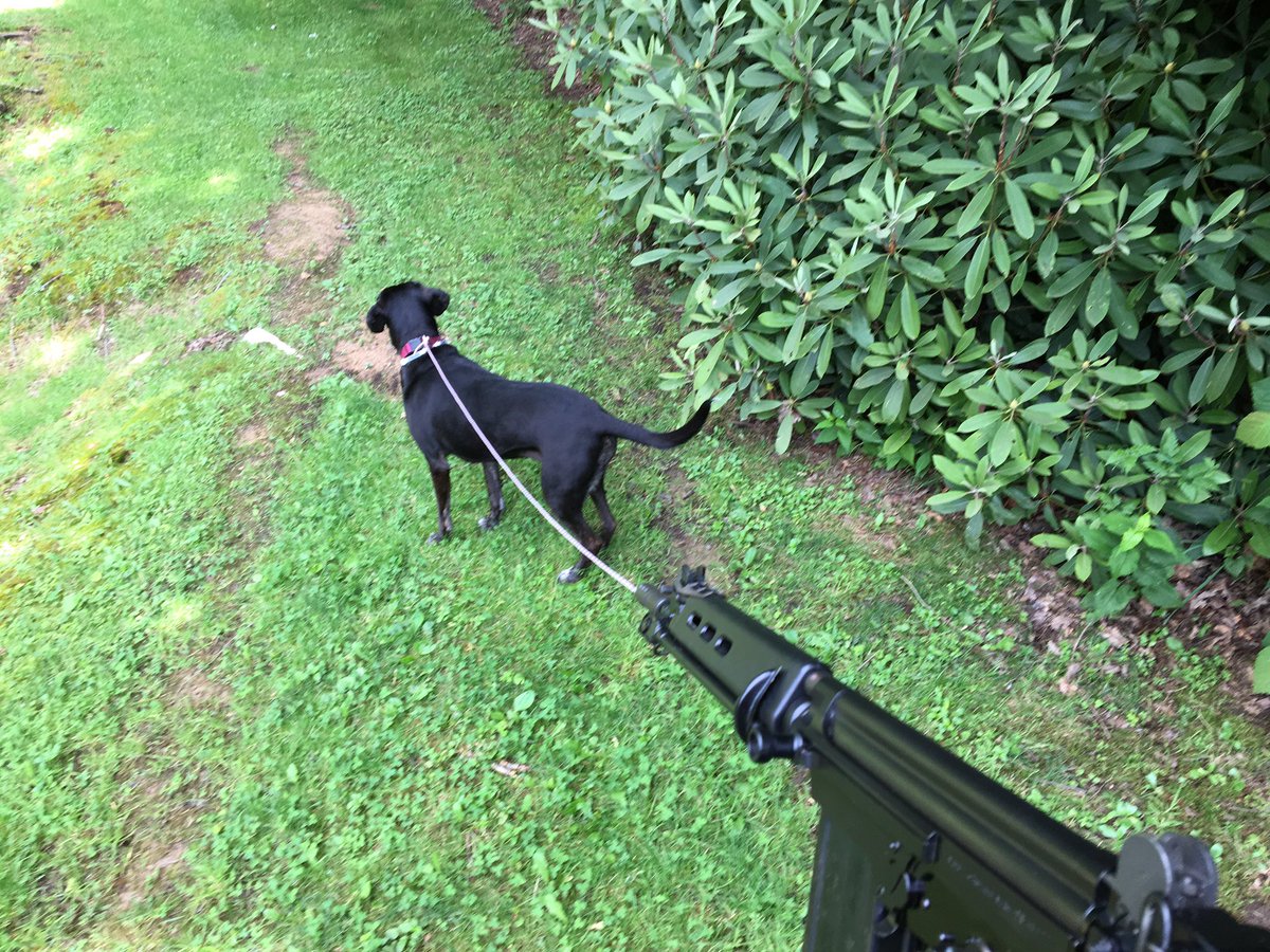 Pupper with FAL