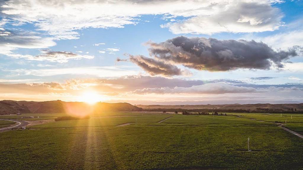 The last hit of sun before the cold sets in. 🌄