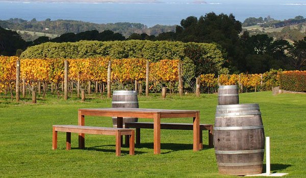 TuruAU's tweet photo. Red Hill, VIC is an overflowing micro-region that packs a whole lot of punch. https://t.co/gaN9tD8vkE https://t.co/TEue3lDRa0