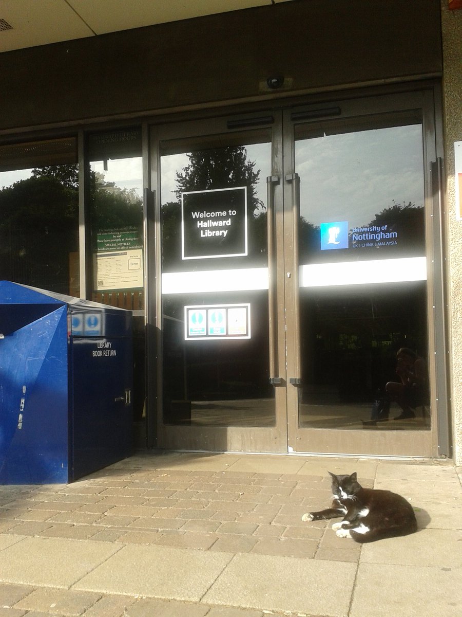 ColetteMDavies's tweet photo. Getting to Hallward library so early its shut ... #summerterm #worktodo #needtofindthatOpieletter #hallward #anothercat #catcompany https://t.co/2v6CsmQob8