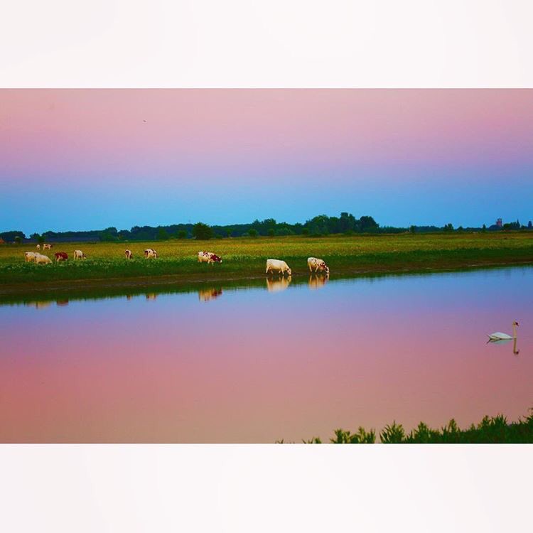 HWBP_nl's tweet photo. Nog meer genieten van het landschap aan en nabij onze #rivieren? Bekijk ons op #dijwerkers Instagram: https://t.co/yz8MJm2C1l foto depot19 https://t.co/Qnx1iZUHb3