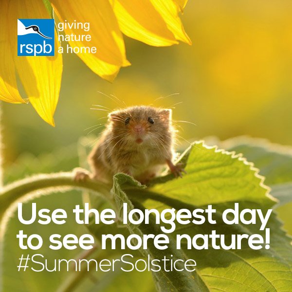 Natures_Voice's tweet image. Happy #SummerSolstice everyone! Why not spend the longest day exploring and experiencing nature!