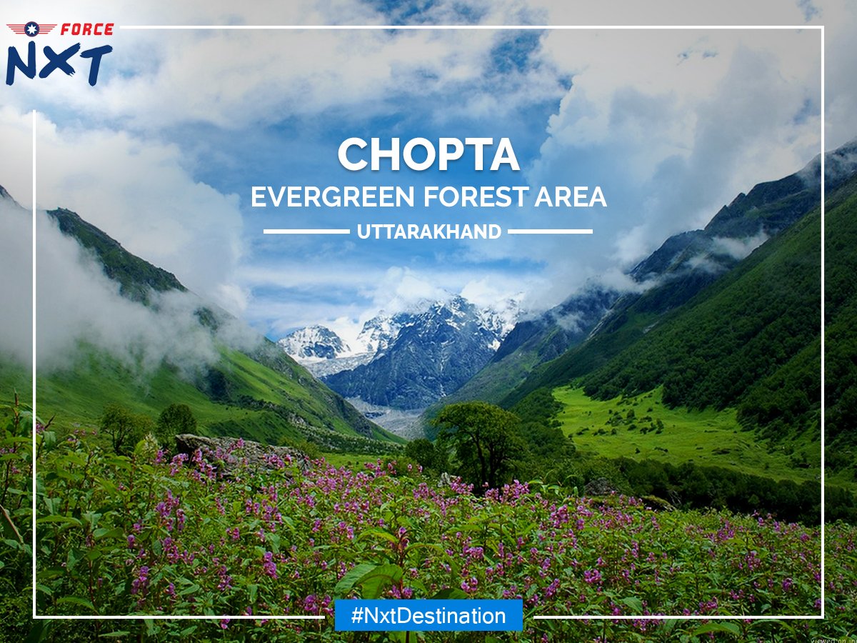 force_nxt's tweet photo. #ForceNXT #GoForNXT #NxtDestination #Travel #Chopta #Uttarakhand #NaturalBeauty #PureBliss https://t.co/wSz7H7IWI1