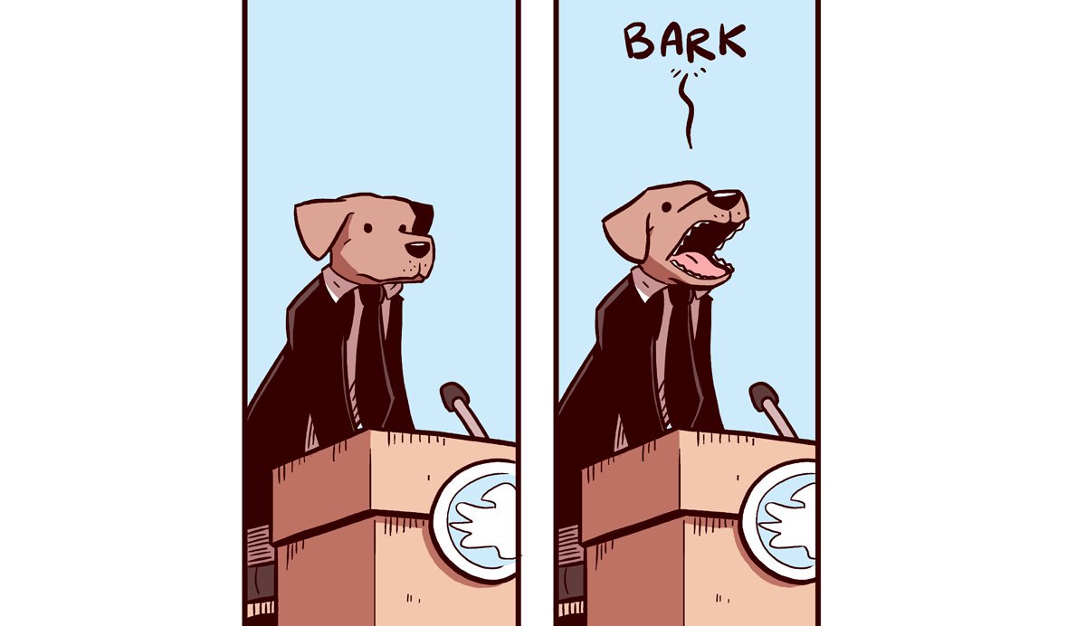 samandfuzzy's tweet photo. In honour of all our new followers, President Dog would like to say a few words https://t.co/fkpNlhD9l5