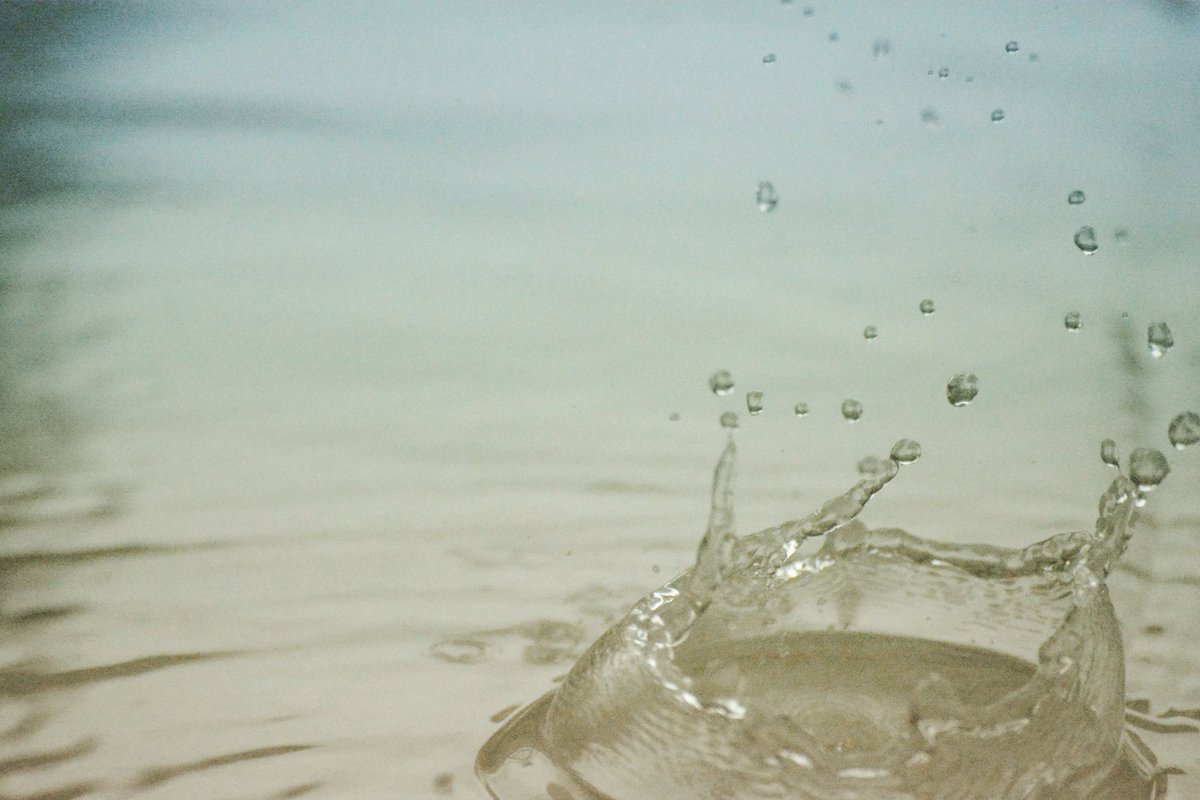 tutorialsbee's tweet image. #raindrop #myclick