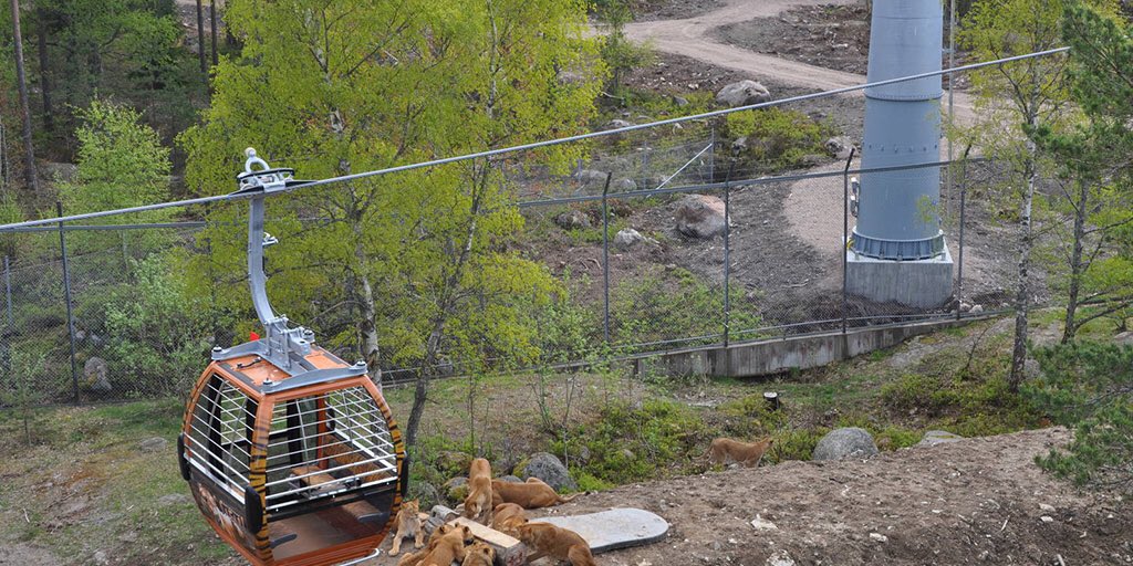 pretourguide's tweet photo. #Kolmården #Wildlife_Park is a #zoo 🌲🐅🦌🐬🐘🐆🦏🌳that opened overlooking #Bråviken #bay. It is the #largest_zoo in #Scandinavia #iLoveSweden 🇸🇪 https://t.co/7RfWtdWAQg