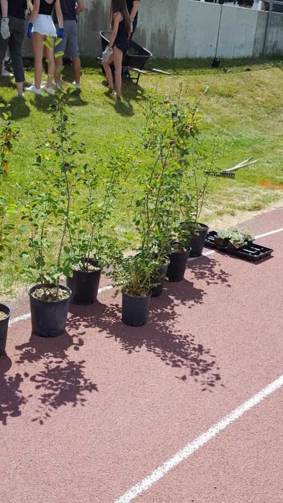 FNS12 students design &amp; build a reconciliation garden in response to #TRC Calls To Action <a href="/dmanhyde/">Dustin</a> <a href="/RussReid1/">R. Reid</a> <a href="/PENHI67/">Pen-High</a> #bced #sd67