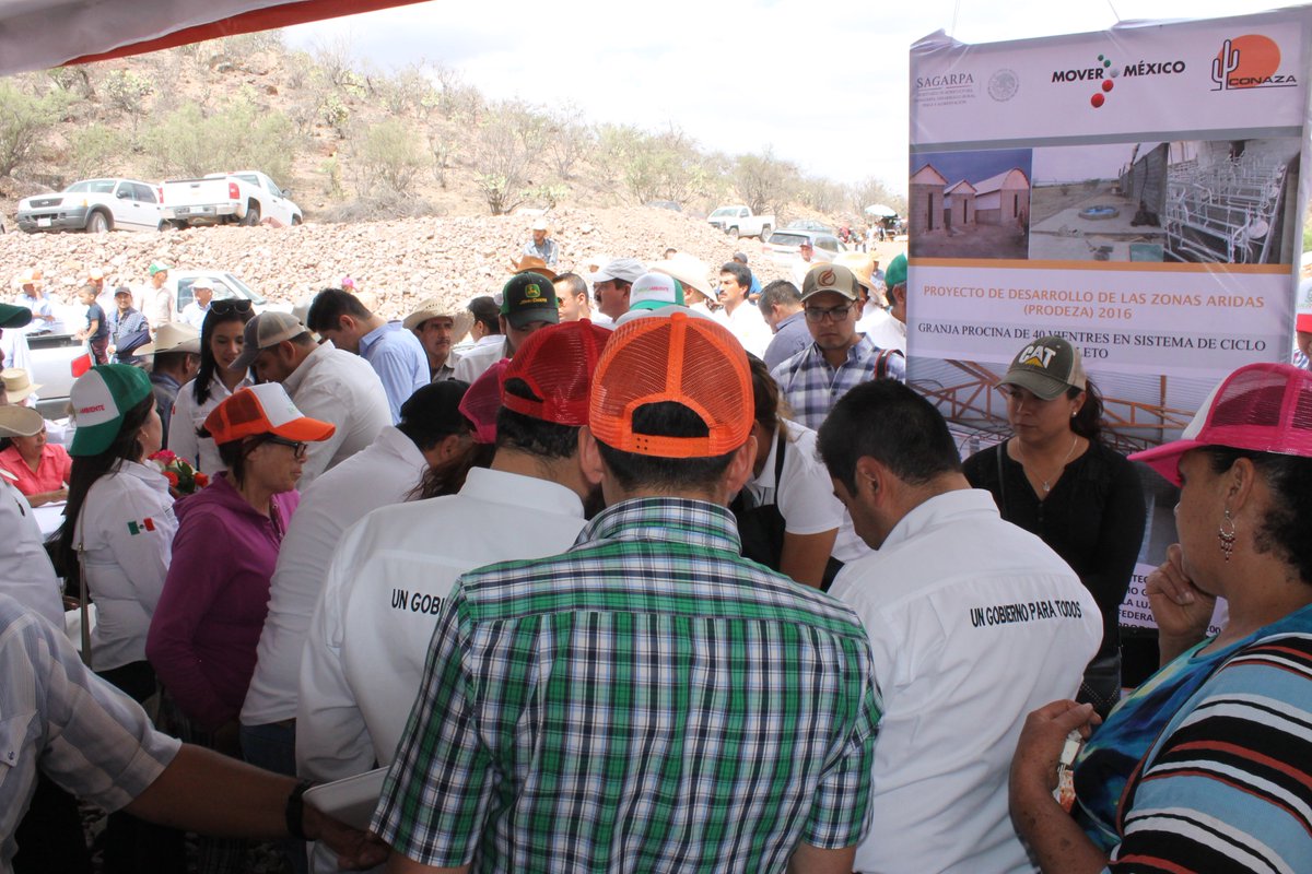 CECADEAC's tweet photo. Granja producción porcina de Rio Grande #Prodeza presente engira de @ATelloC y Dir @conaza_gob entrega de apoyos @SagarpaZac @Secampo_Zac https://t.co/duvNnZp79g