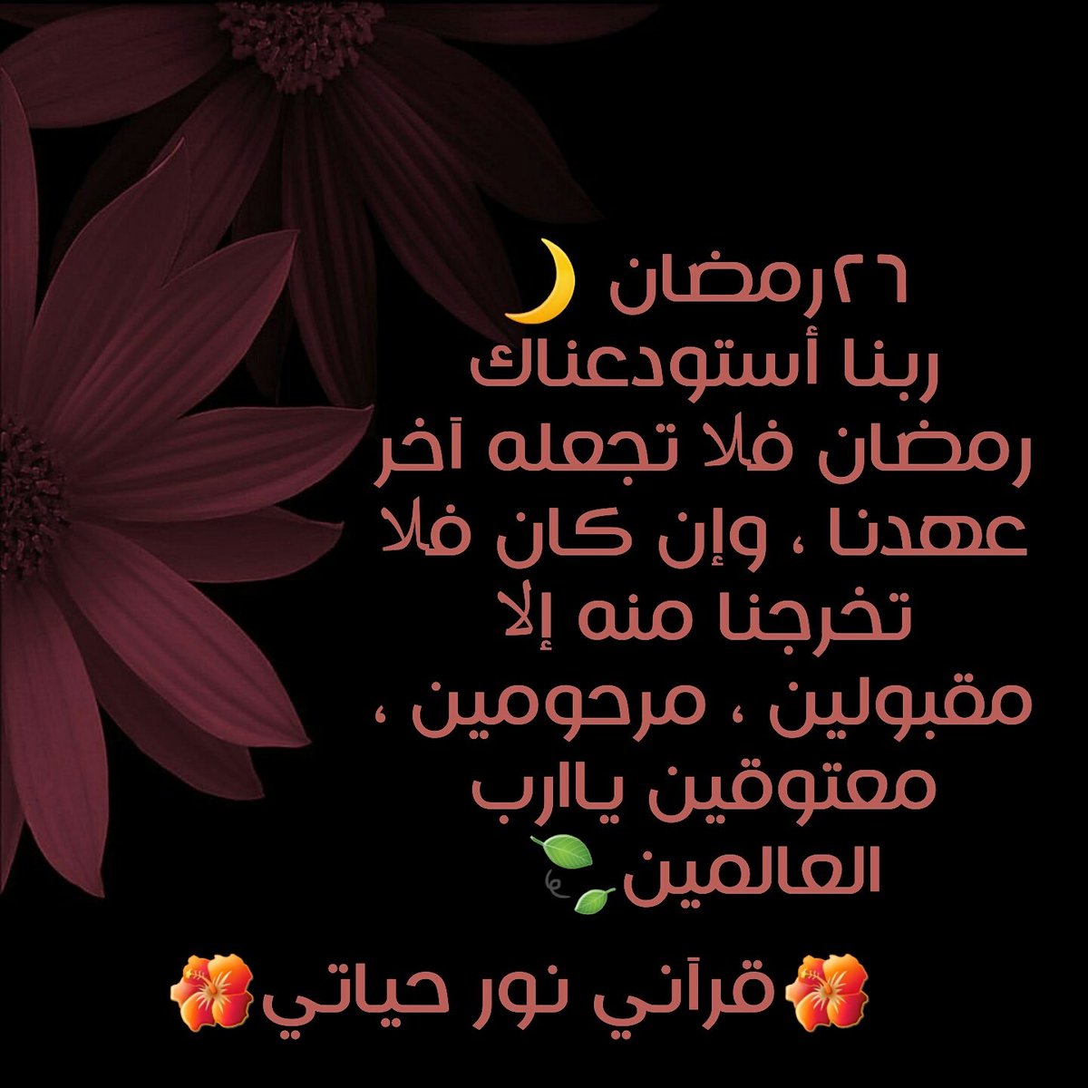 #تصميمي من قروبي 🌺قرآني نور حياتي🌺 #الحمد_لله 🎉🎊🌙☄️❤️