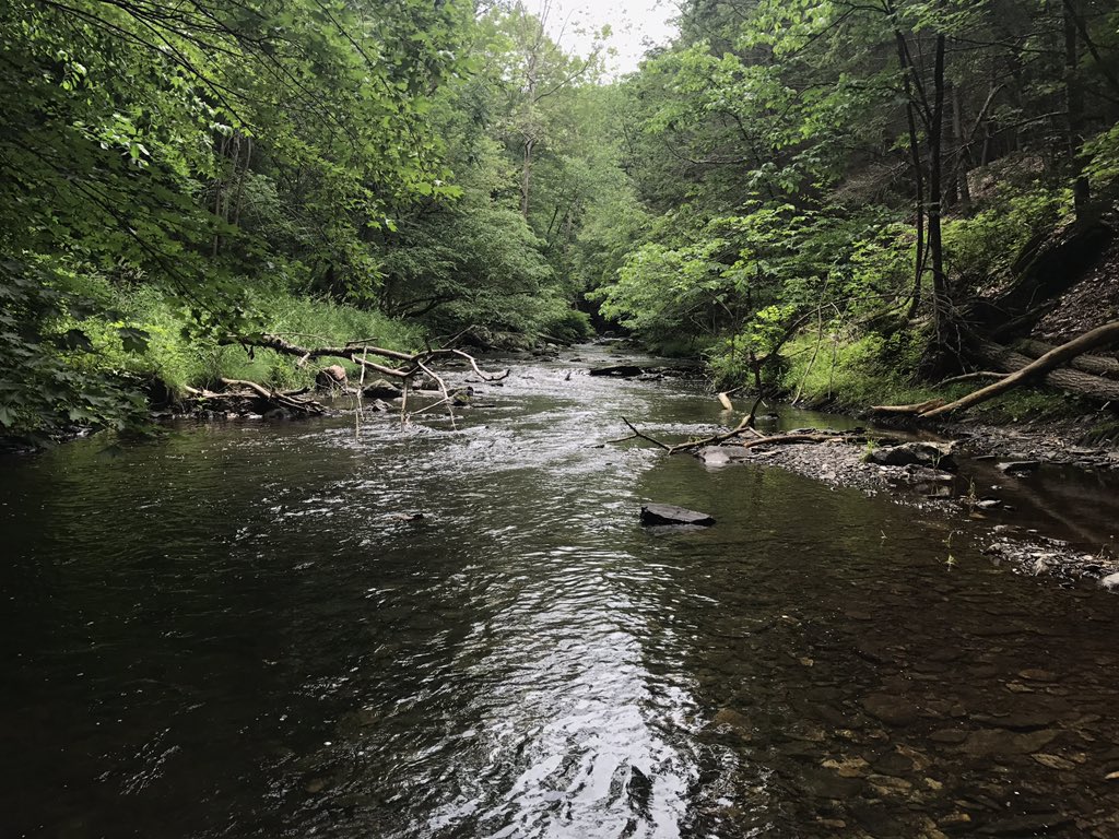 Harmony #upstateNY #HudsonValley