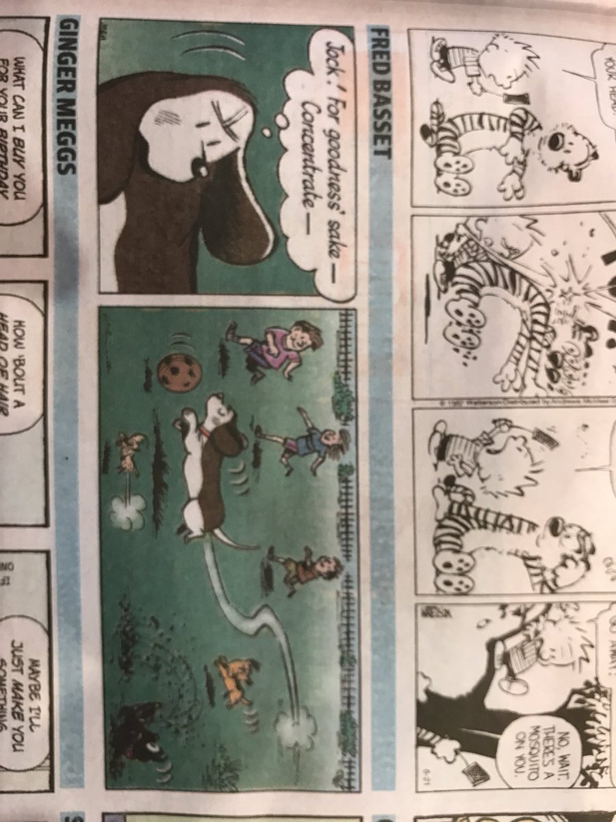 benjaminhwalker's tweet photo. @hamishandandy you have to bring back the Fred Basset read as I have no idea about this one #fredbassett https://t.co/GVZlOHwrYg