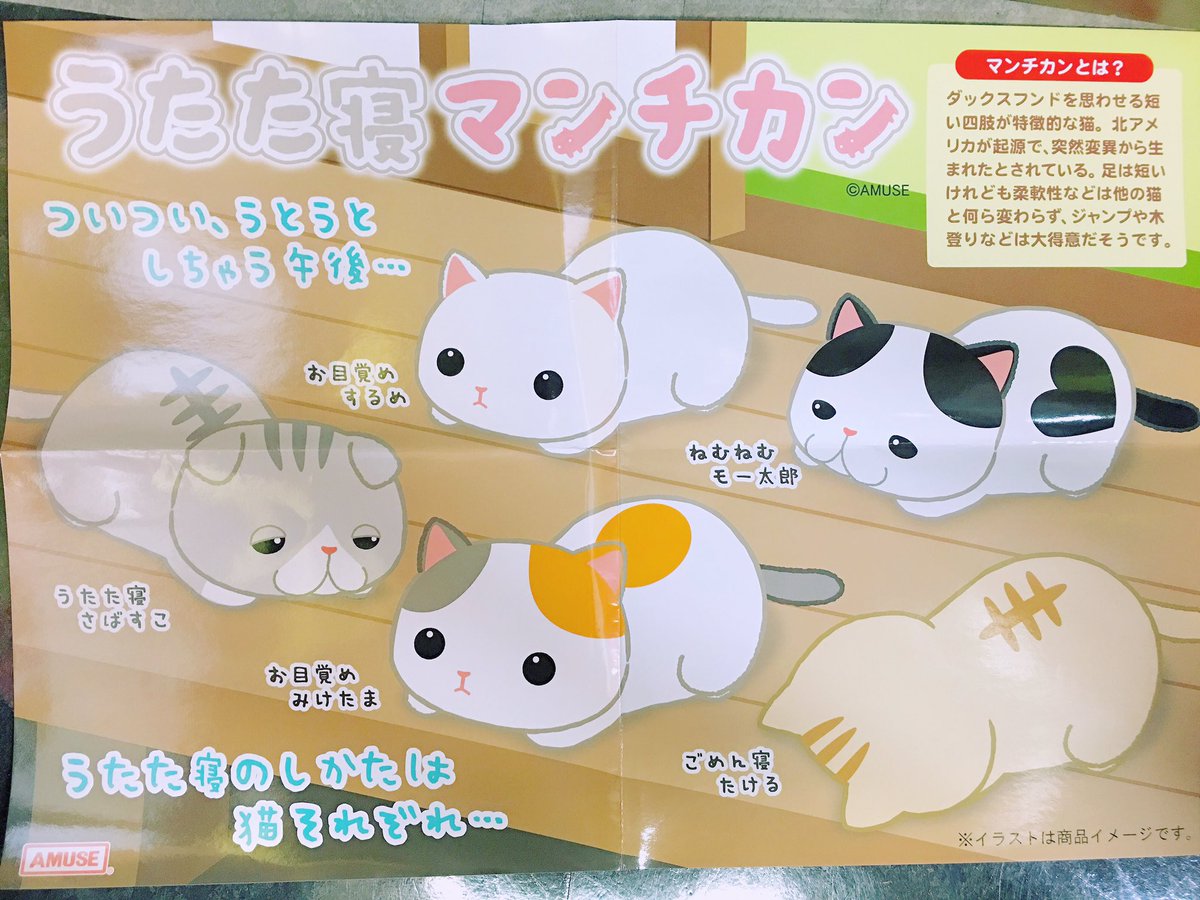ゲームプラザgao大久保店 Auf Twitter うたた寝マンチカン 大人気マンチカンに新ポーズ登場だお たけるは可愛い ごめん寝ポーズ うたた寝さばすこ ハッと目覚めたモー太郎など新しいお友達も加わったお Amusejapan Gao大久保 Ufoキャッチャー ゆめ ゲームプラザgao大久保店 Auf Twitter うたた寝マンチカン 大人気マンチカンに新ポーズ登場だお たけるは可愛い ごめん寝ポーズ うたた寝さばすこ ハッと目覚めたモー太郎など新しいお友達も加わったお Amusejapan Gao大久保 Ufoキャッチャー ゆめ