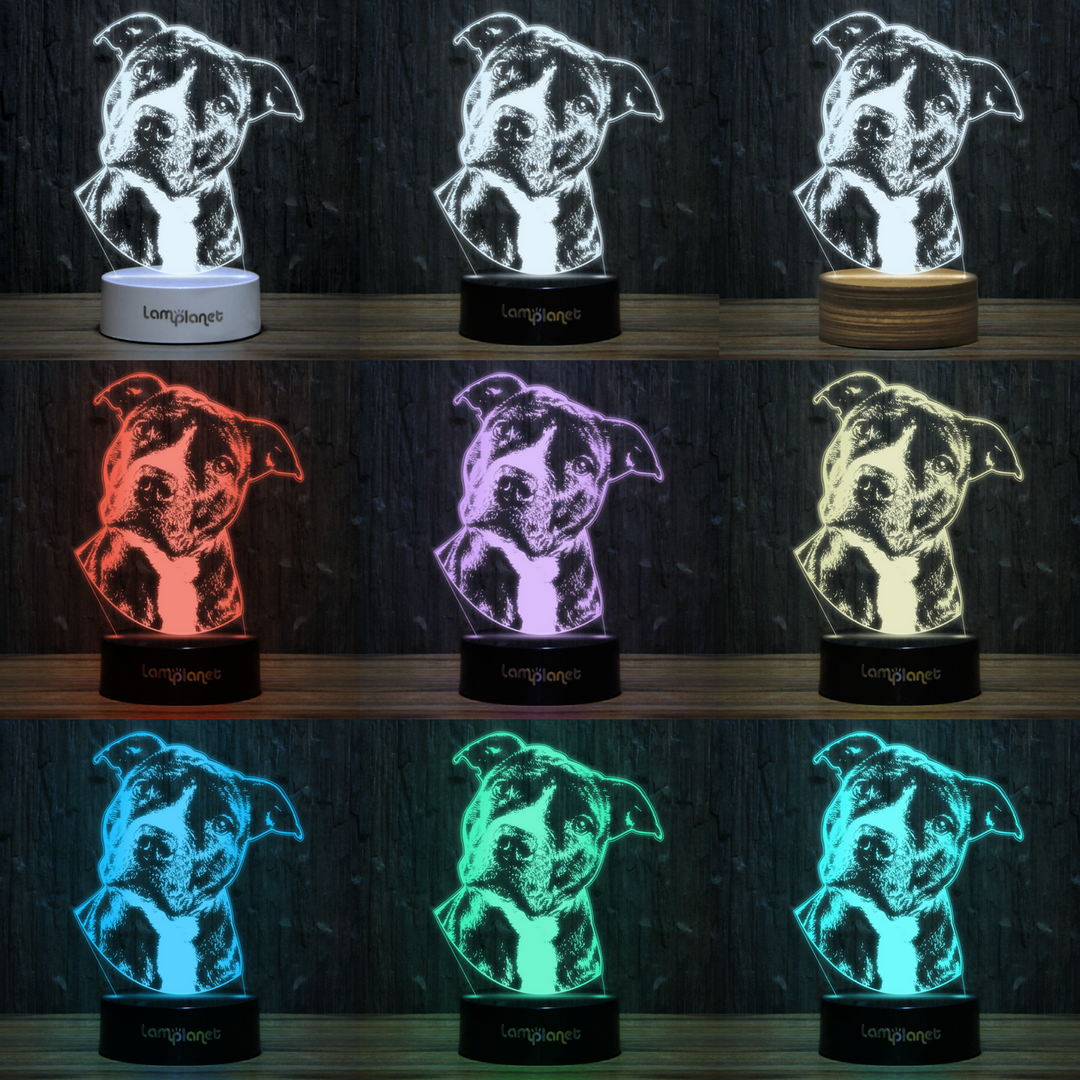 limitlesscomrc's tweet photo. All you need is love and this cute #pitbull 3D illusion lamp.

https://t.co/DsNfWaKLad https://t.co/s8ImdG8w8Q
