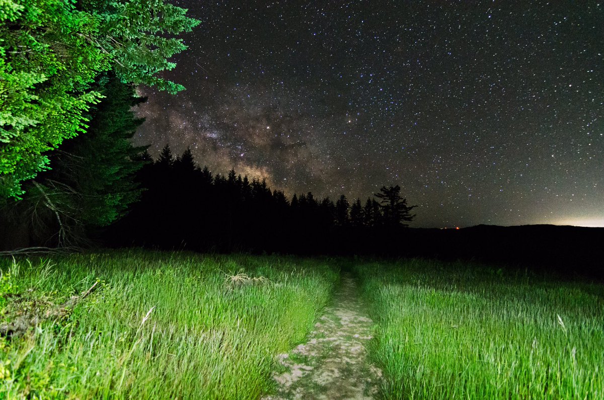 rangerShaina's tweet photo. Dolason Prairie, Redwood National Park https://t.co/4bJRNbAza9