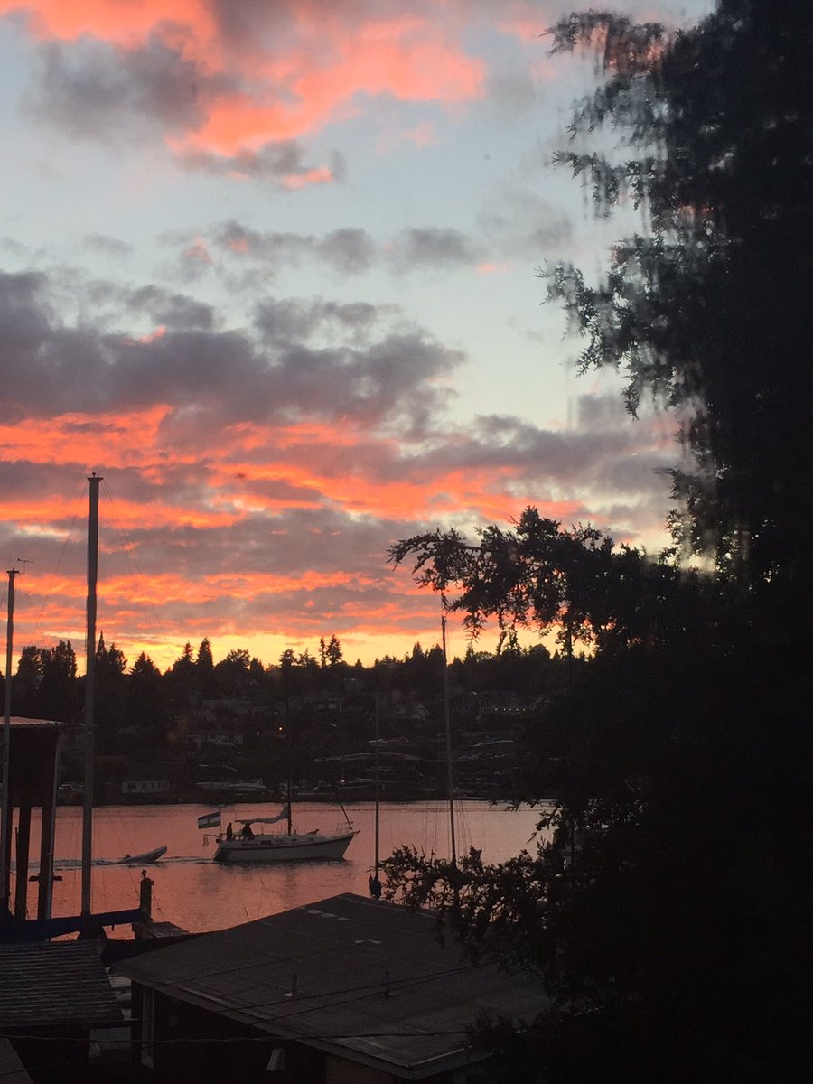 CourtStrand's tweet photo. Fun night to watch the #Sunset in #Seattle from yellow to orange to pink #MySeattleCottage https://t.co/Xemef6Z4vg