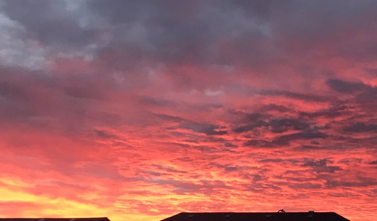 elivingstone21's tweet photo. Beautiful sky after a crazy storm... #reddeer #stormwatch #windstorm #summer https://t.co/JJ6Zz2Eyj2