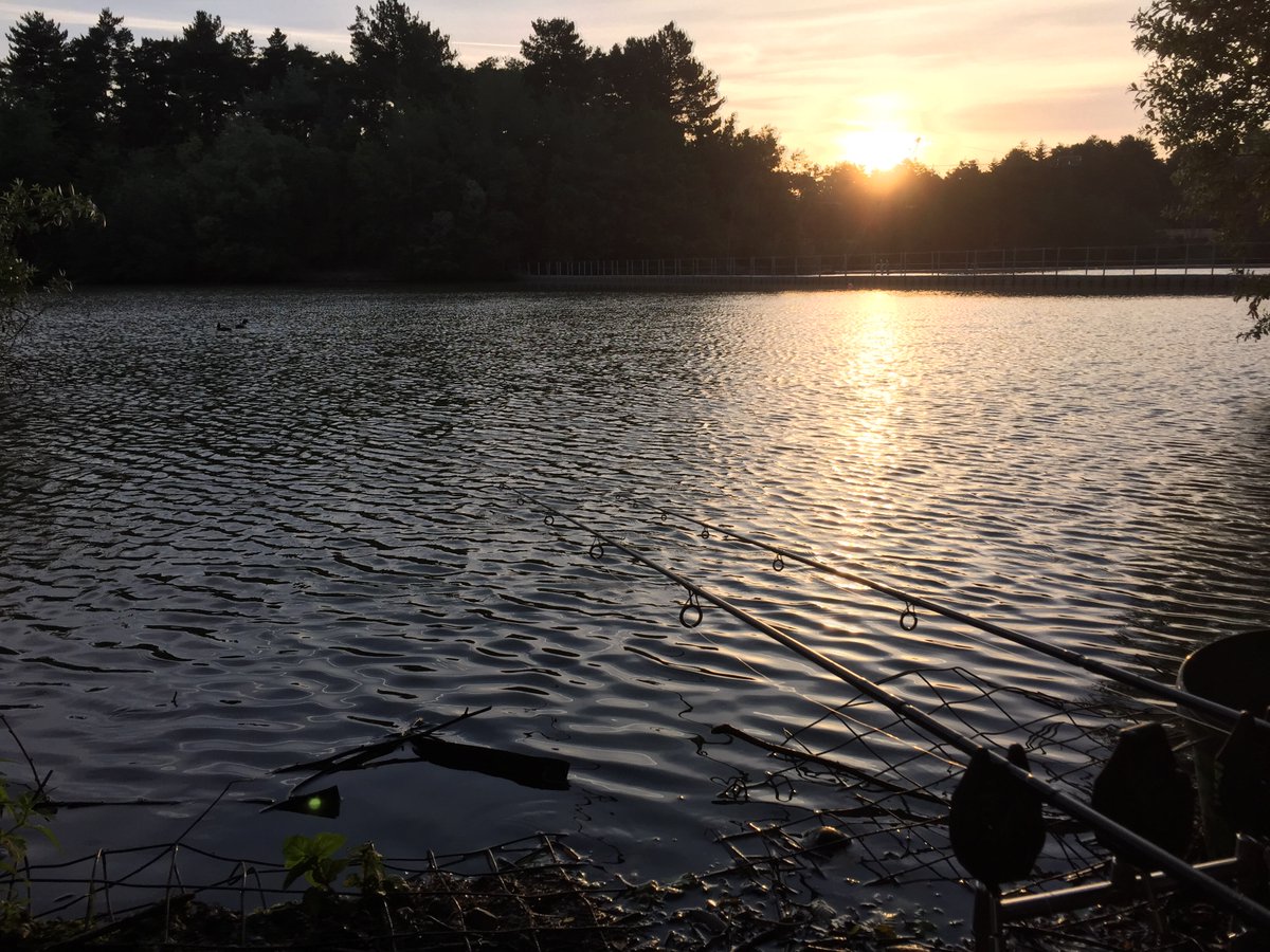 CatchiFish's tweet photo. Early morning session. Be rude not to with this weather. #catchi #carpfishing #carp #fishing 🎣👍🏻🤞🏻 https://t.co/ZyItlZdY8M