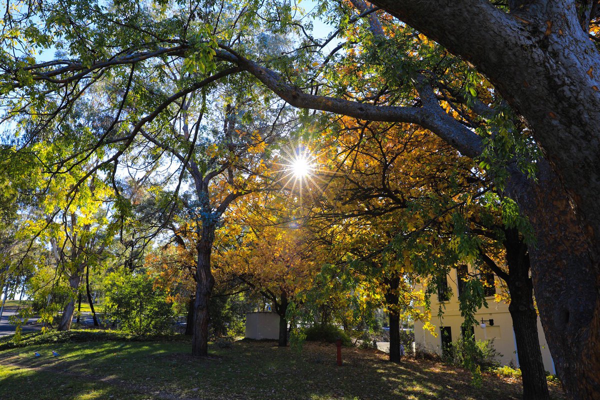pharzus's tweet photo. #Canberra #photography https://t.co/ssfU0WoIvi