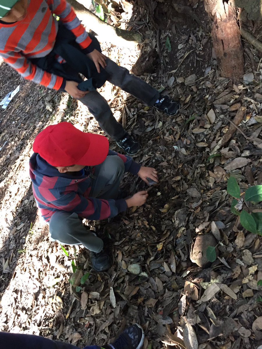 CabraWestPS's tweet photo. Bug catching and fishing #stage2excursion https://t.co/MwJ0488zMv