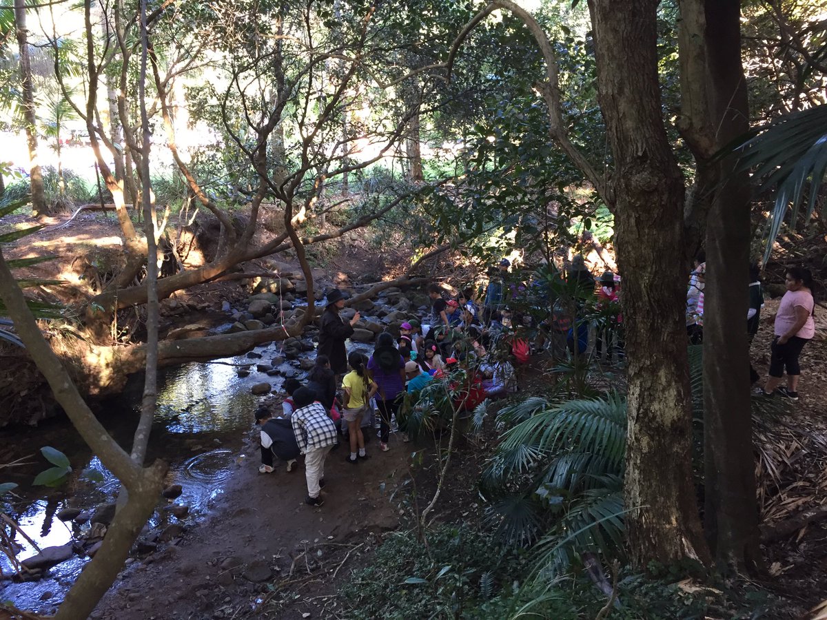CabraWestPS's tweet photo. Bug catching and fishing #stage2excursion https://t.co/MwJ0488zMv