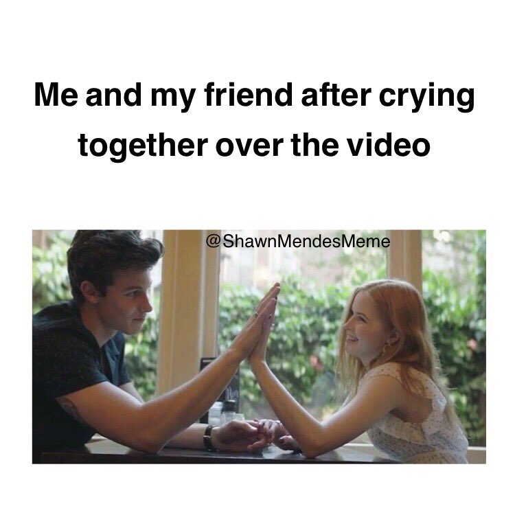 ShawnMendesMeme's tweet photo. #HoldinMeBackVideo https://t.co/U8b52LipSH