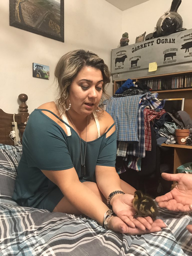 ChelseaOgram's tweet photo. It didn't poop on me, it didn't fly away, and I didn't drop it! Pretty successful first day with our baby ducks #quackducks https://t.co/lo32FTafOB
