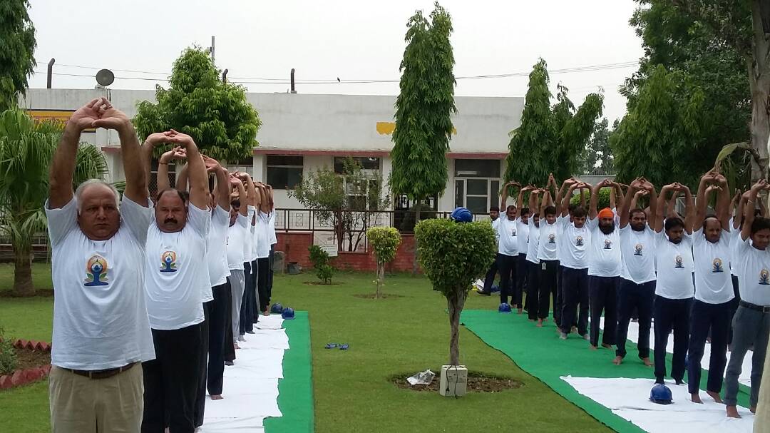BPCRetailDelhi's tweet photo. Celebrating World Yoga Day at Bijwasan Instln Delhi. @singharunbpcl @PeethambaranT @Gorav53429917 @BPCLRetail @BPCLimited https://t.co/PIwvXV5qtZ