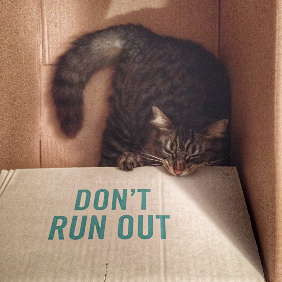 We're all pretty happy with our <a href="/BoxedWholesale/">Boxed</a> order.