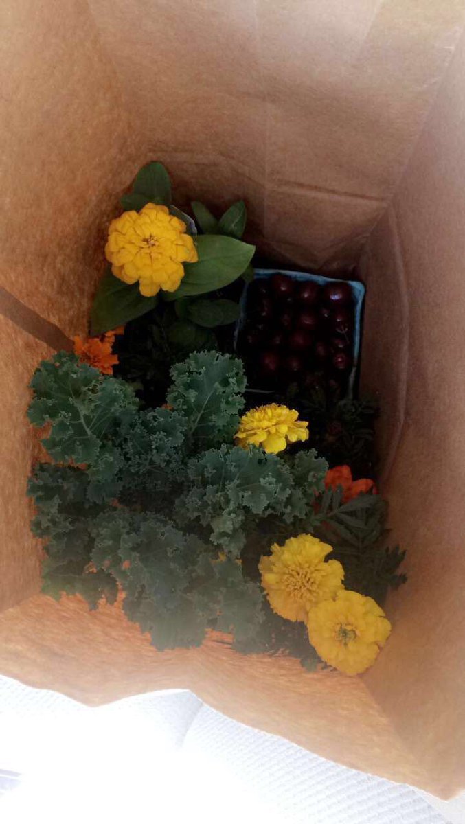 WantonOlive's tweet photo. #farmersmarket YESSSS https://t.co/otcWokOAIt