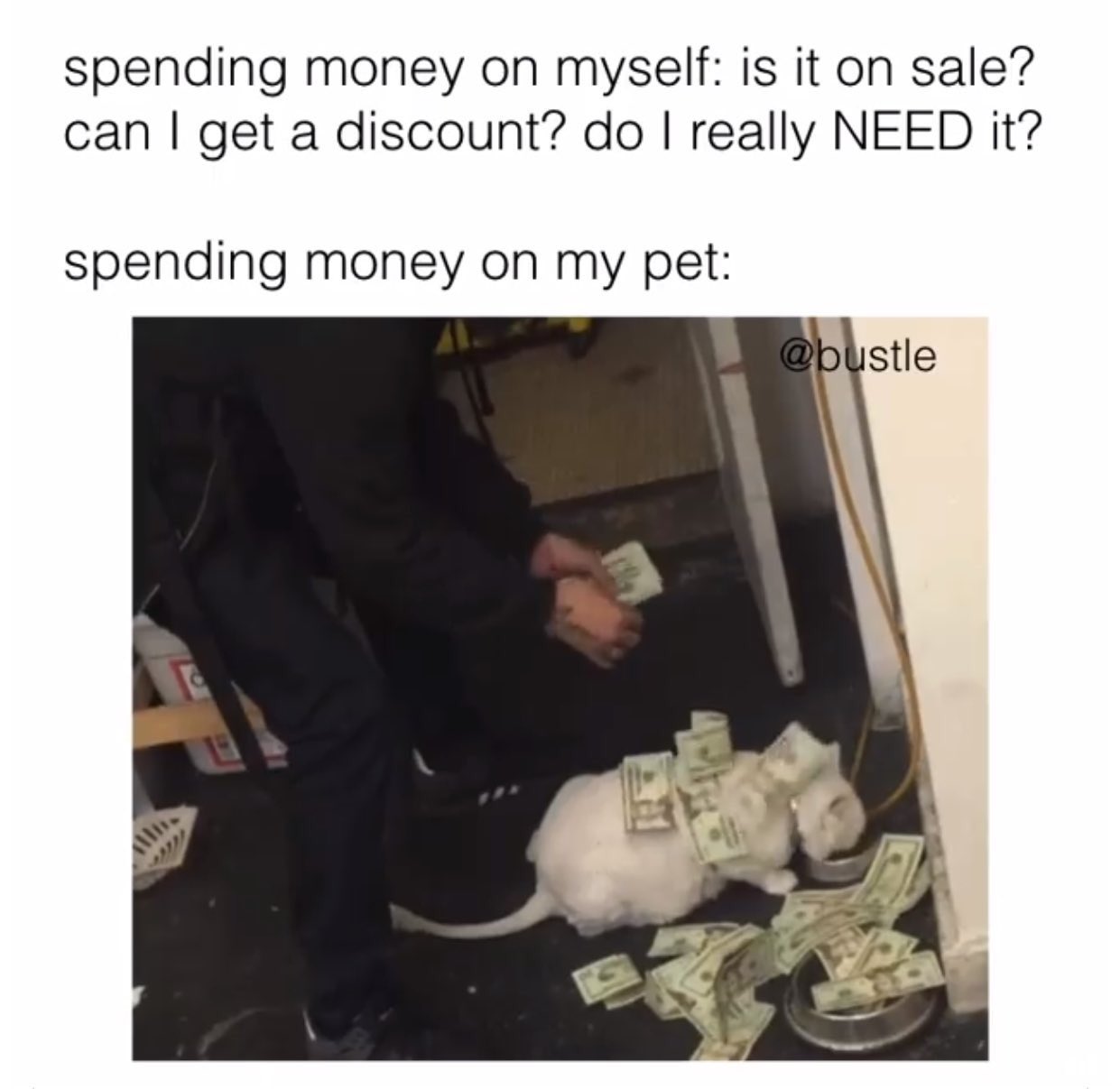 adam22 on Twitter: 